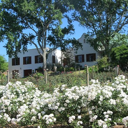 Vila Aan-Den-Weg Stellenbosch Exteriér fotografie