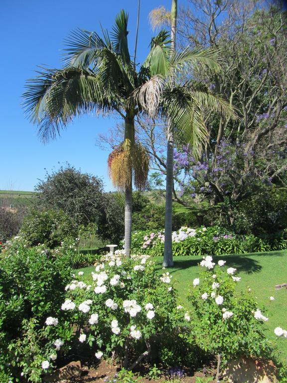 Vila Aan-Den-Weg Stellenbosch Exteriér fotografie