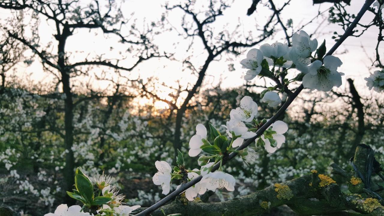 Vila Aan-Den-Weg Stellenbosch Exteriér fotografie