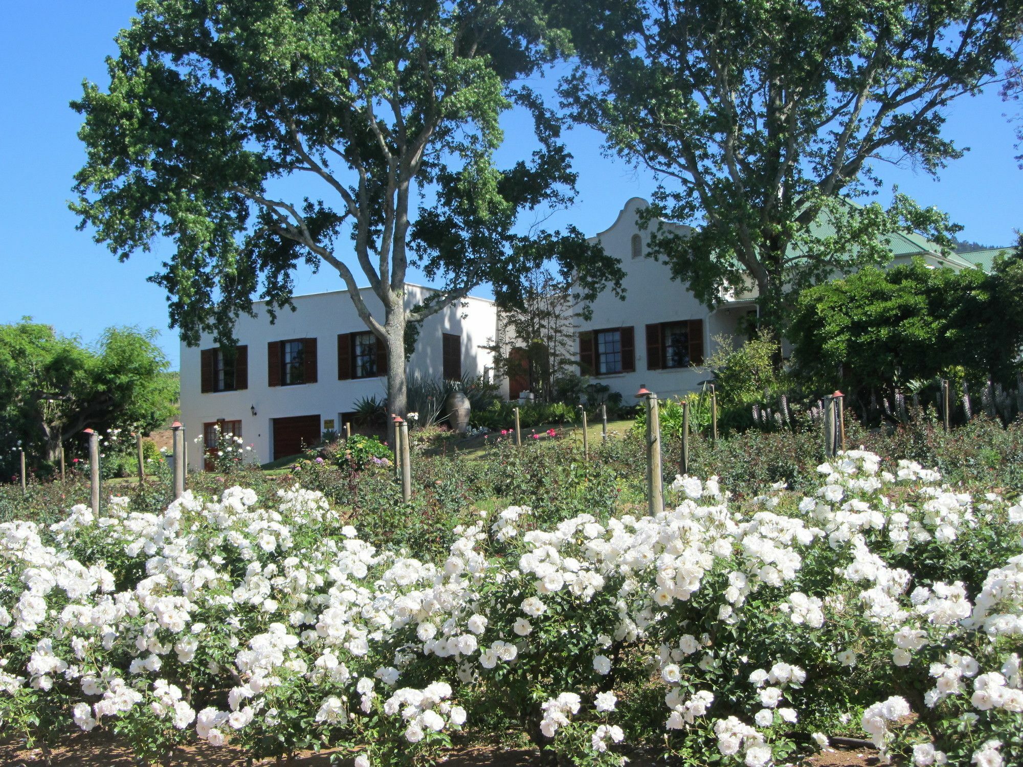 Vila Aan-Den-Weg Stellenbosch Exteriér fotografie