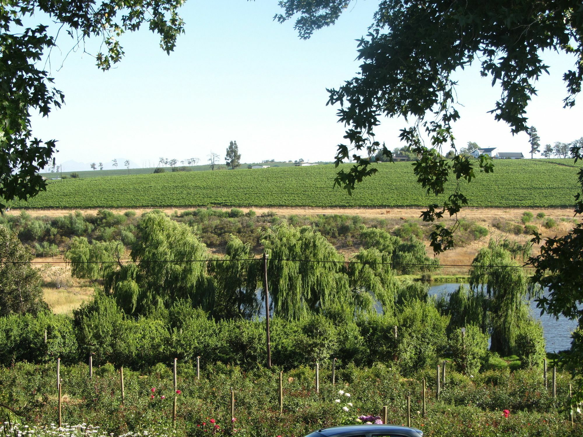 Vila Aan-Den-Weg Stellenbosch Exteriér fotografie